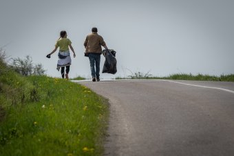 Tizenharmadik alkalommal rendeznek Tavaszi Zöld Napokat