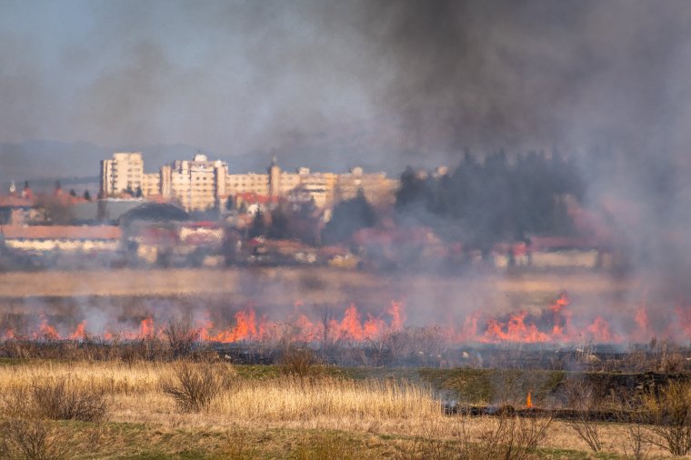 Nincs csapadék, van tarlótűz: ezúttal Csíkszereda határában ég a száraz növényzet