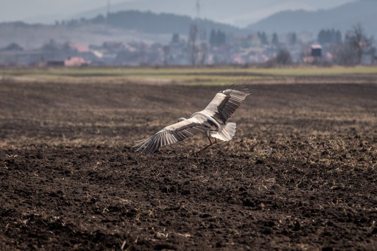 Felmelegedéssel, majd változékony időjárással érkezik a tavasz