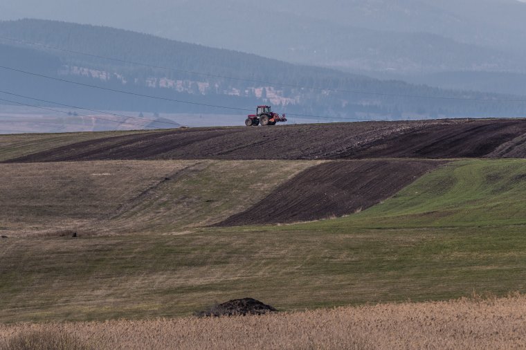 Az utolsó pillanatban elhalasztották az idei mezőgazdasági támogatások igénylésének a kezdetét