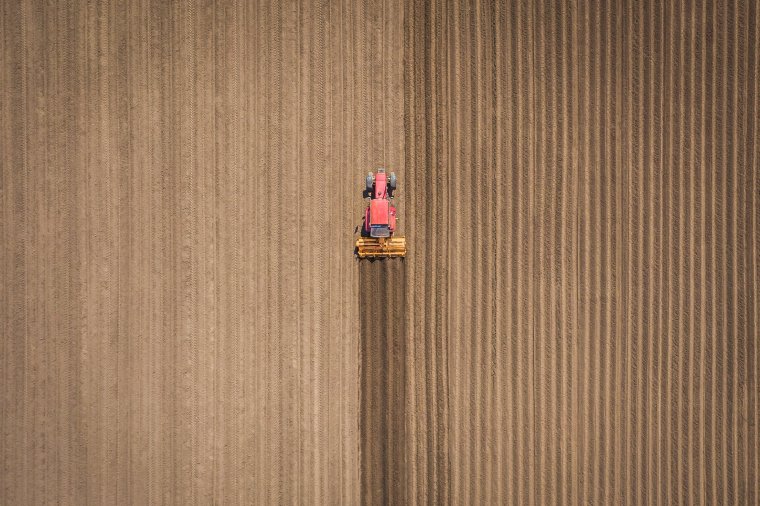 Mintegy 25 ezer Hargita megyei gazda számlájára már megérkezett a juttatások jó része