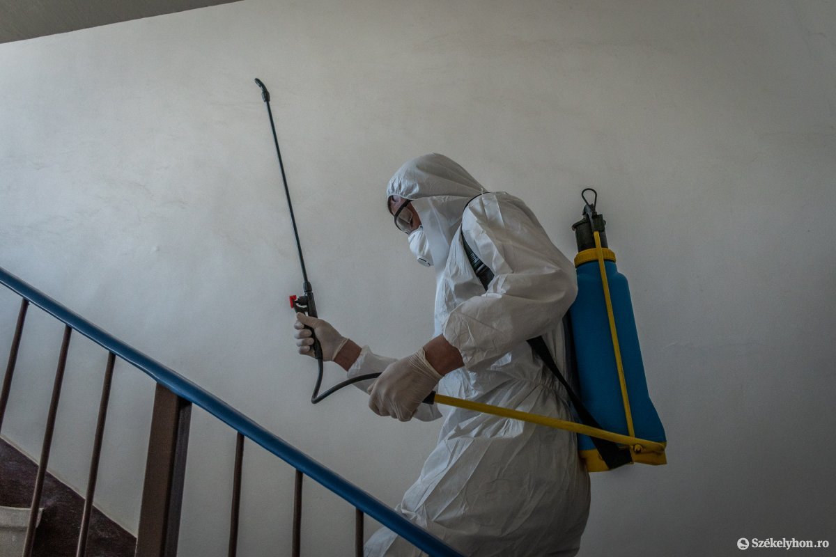 Képünk illusztráció •  Fotó: Pinti Attila