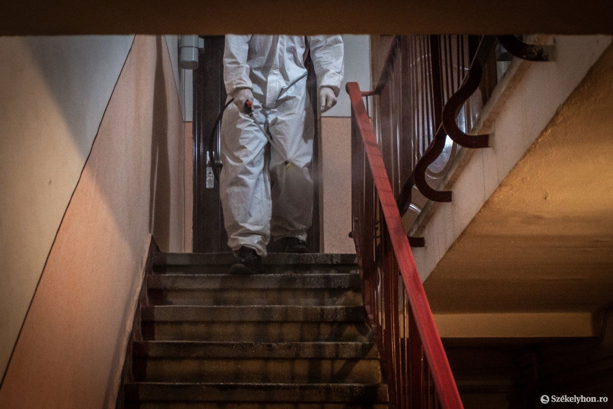 Képünk illusztráció •  Fotó: Pinti Attila