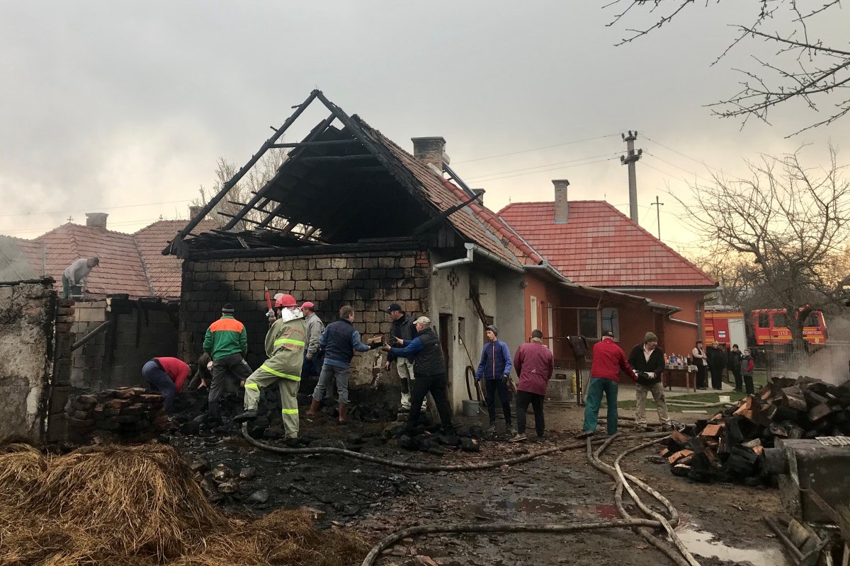 •  Fotó: Vizi Rebeka