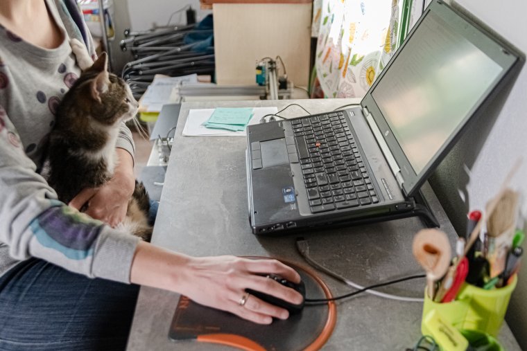 Így akarnak átverni, ha online munkát ajánlanak vonzó fizetésért