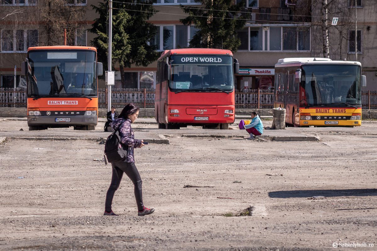 Csendélet az autóbusz-állomáson. Kényszerpihenő a járvány miatt •  Fotó: Pinti Attila