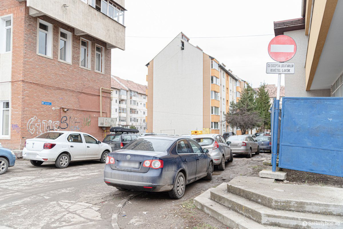 •  Fotó: Gábos Albin