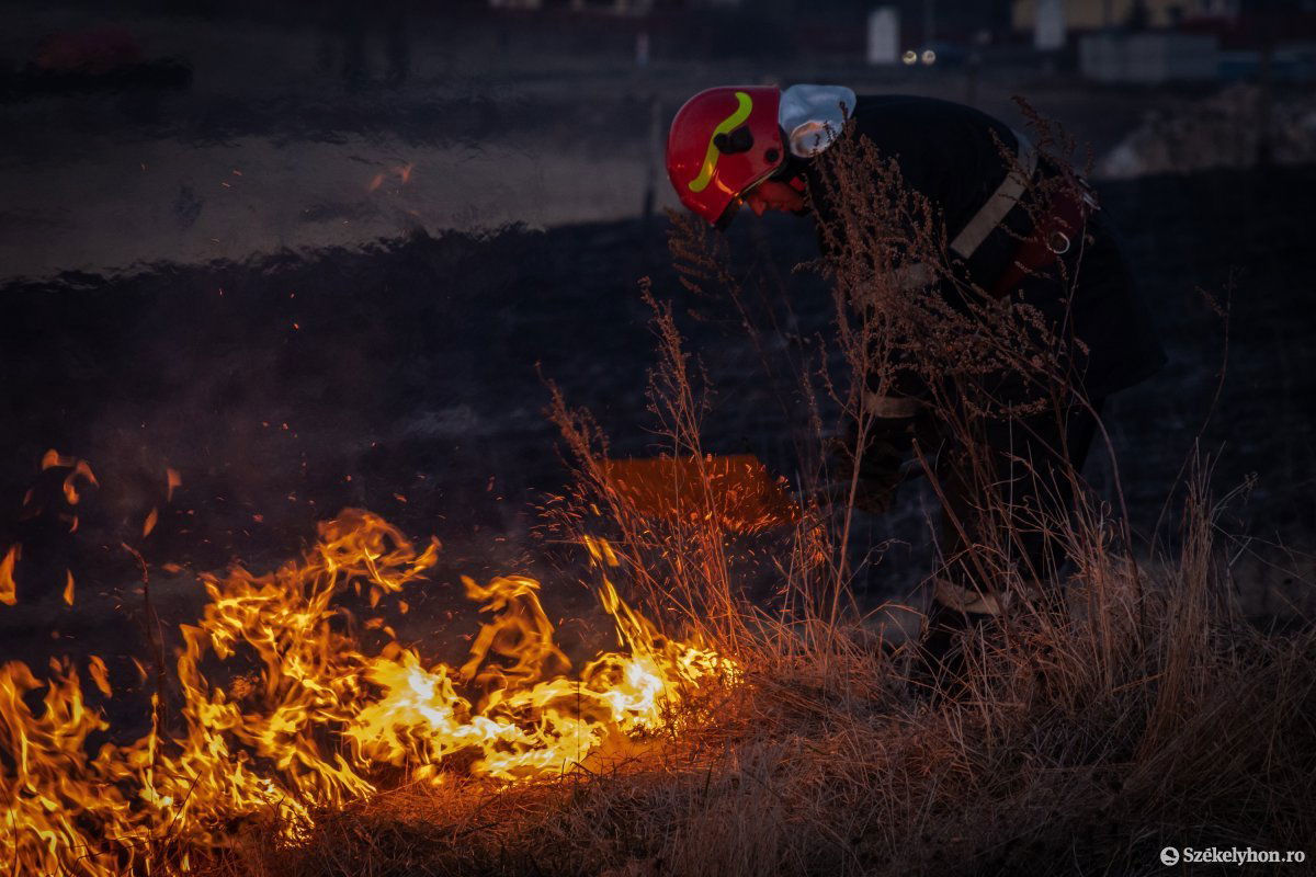 Képünk illusztráció &bullet;  Fotó: Pinti Attila