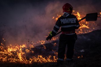 Kigyulladt az aljnövényzet Ádámoson