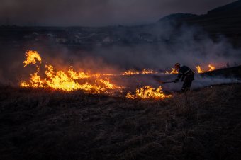 Nagy területen tombolt a tűz