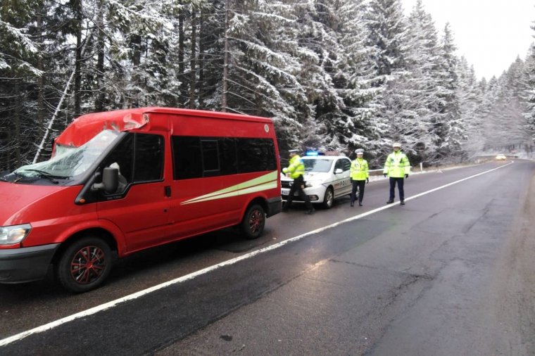 Kisbuszra dőlt egy fa a piricskei eltérőnél