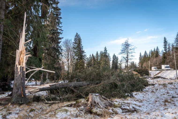 Viharos erejű szélre számíthatunk több erdélyi megyében
