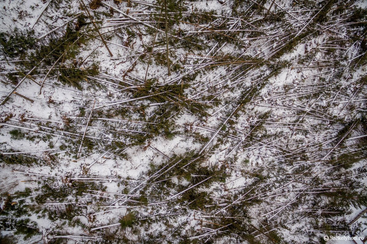 •  Fotó: Pinti Attila