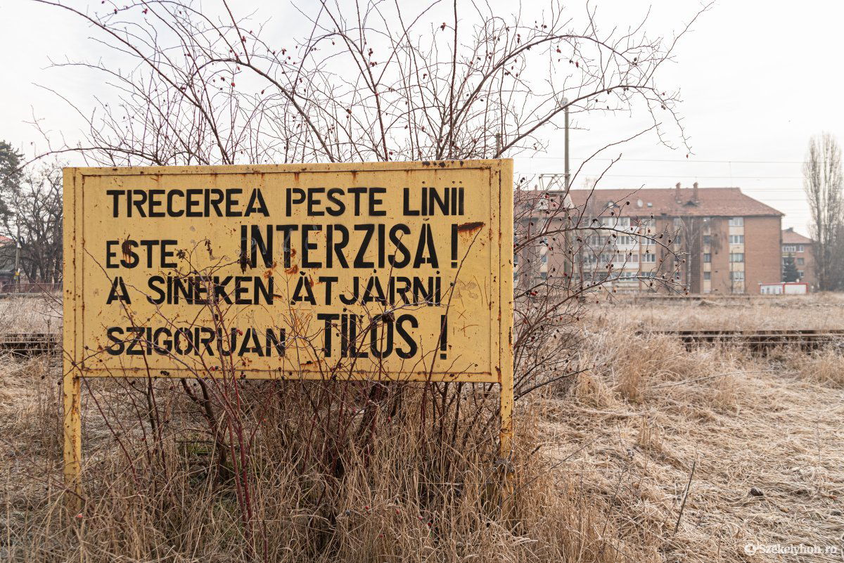 •  Fotó: Gábos Albin