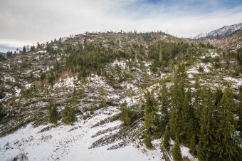Felerősödő szélre figyelmeztetnek, térségünkben Kovászna megye érintett