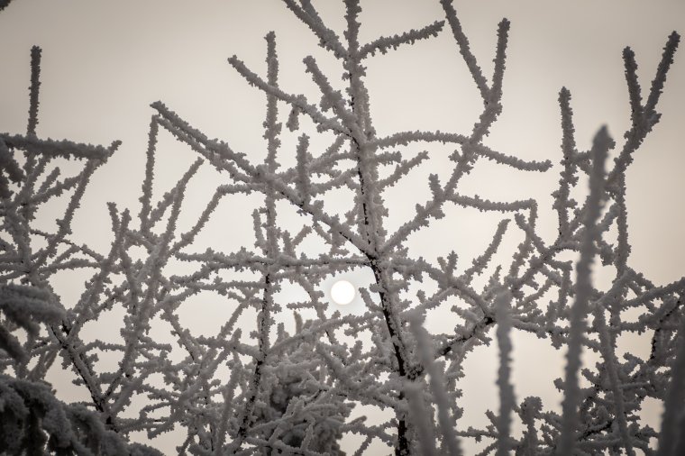 Jelentős lehűlésre figyelmeztetnek a meteorológusok, helyenként fagypont alá süllyed a hőmérséklet, a szél is megélénkül