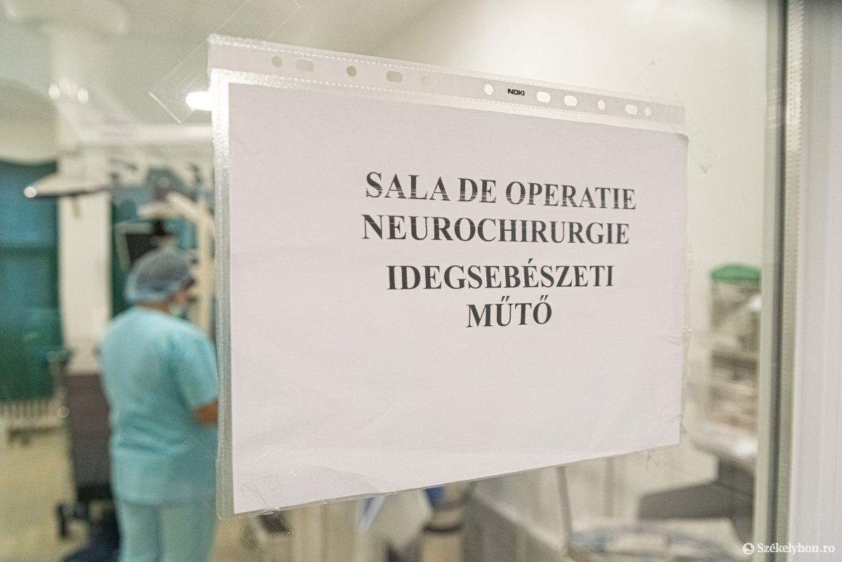 •  Fotó: Gábos Albin