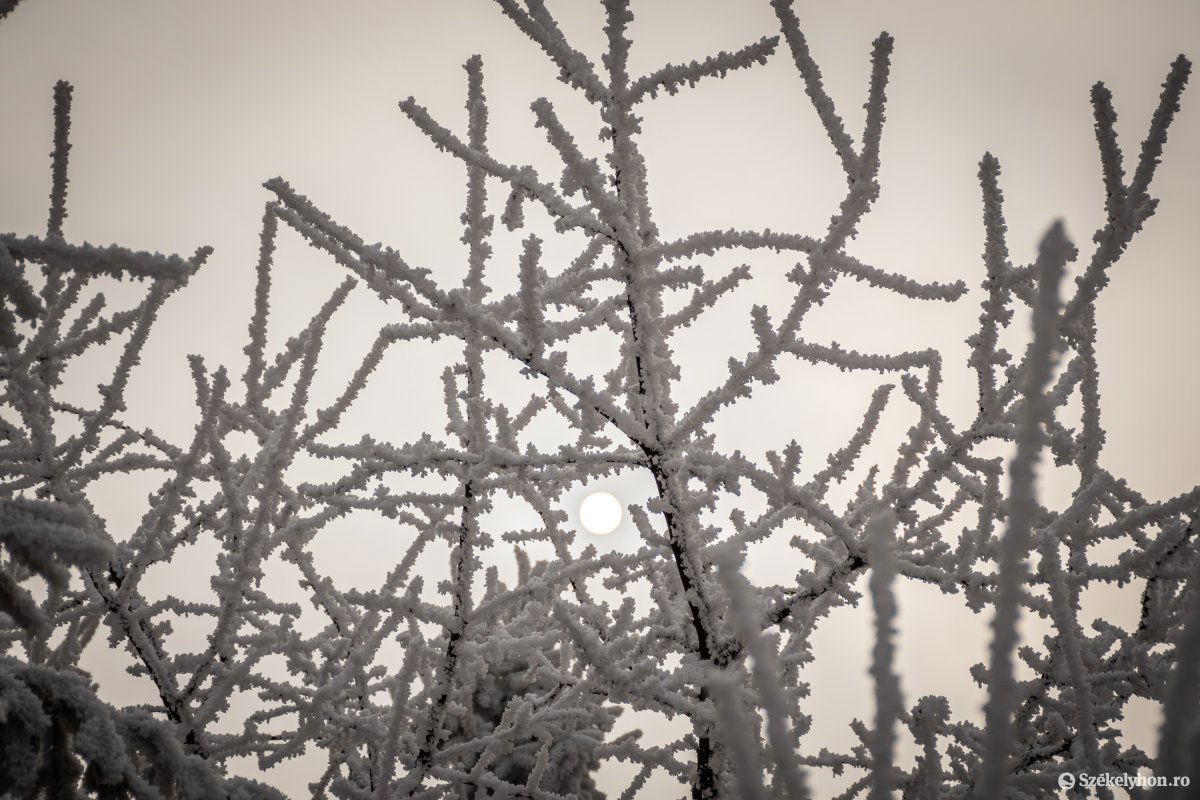 •  Fotó: Pinti Attila