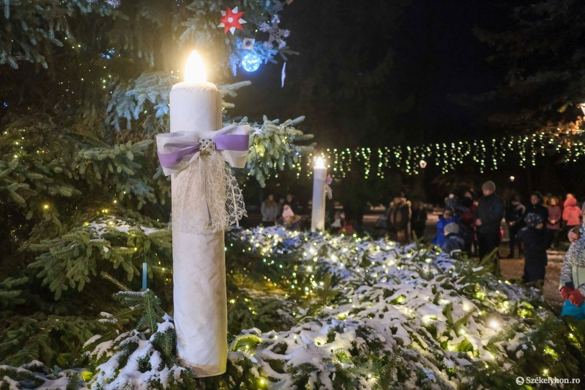 •  Fotó: Veres Nándor