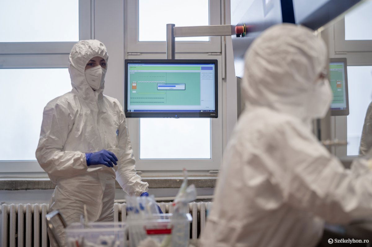 •  Fotó: Pinti Attila