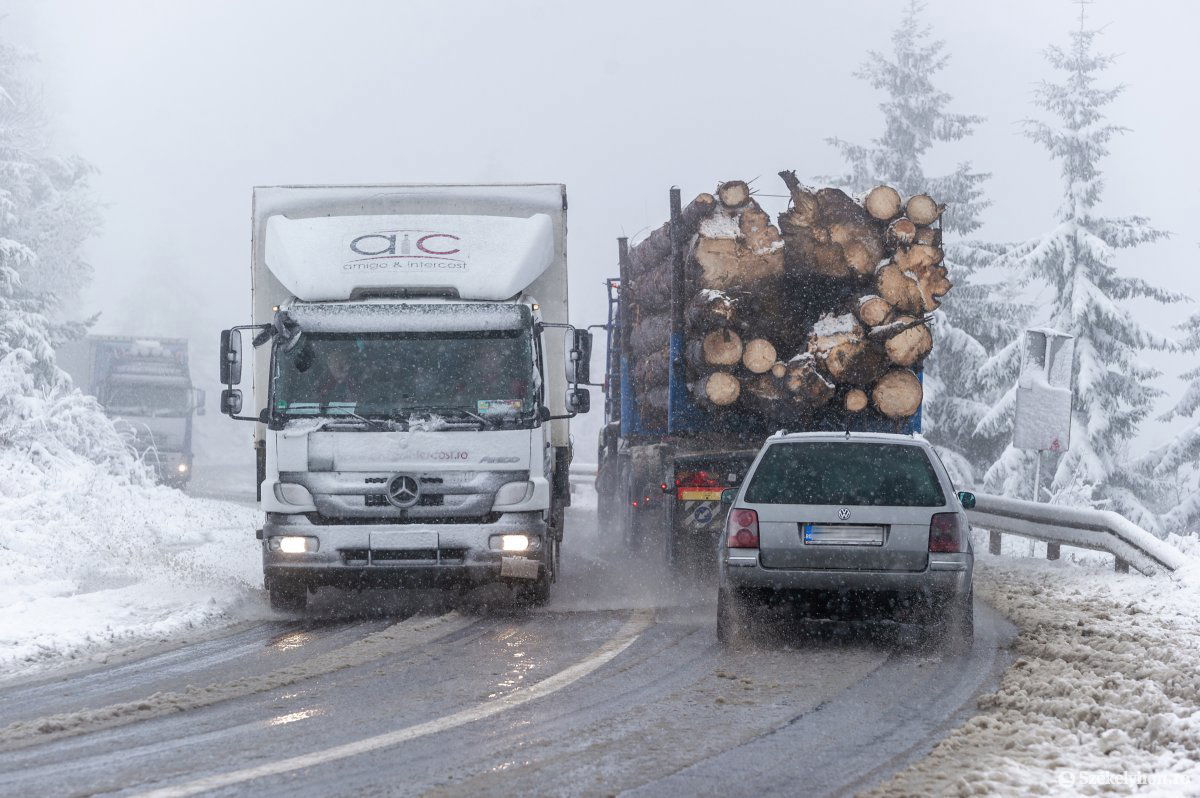 &bullet;  Fotó: Pinti Attila