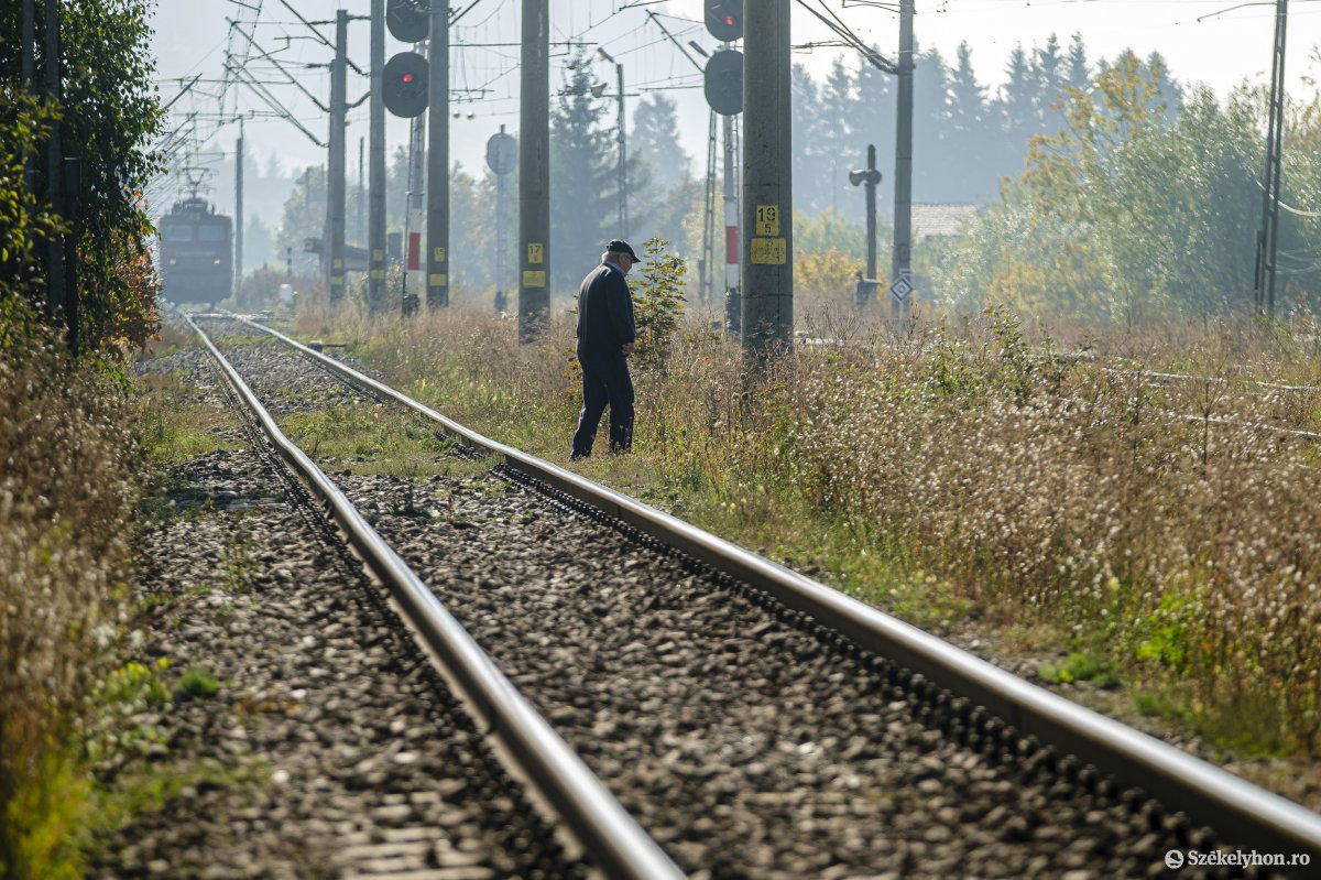 Képünk illusztráció •  Fotó: Veres Nándor