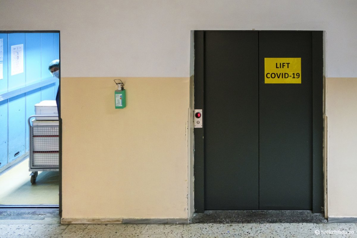 Képünk illusztráció •  Fotó: Veres Nándor