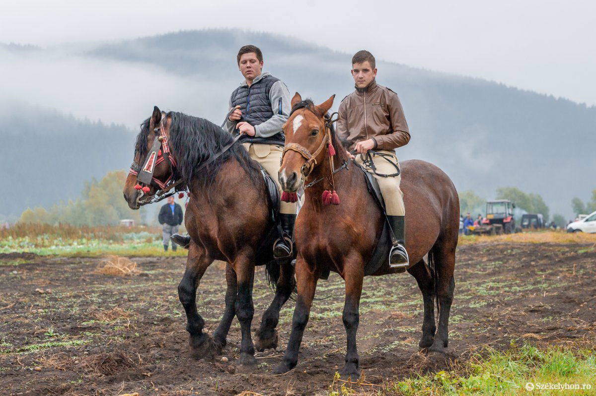 &bullet;  Fotó: Pinti Attila