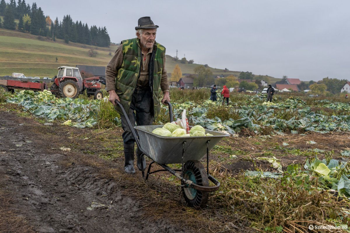 &bullet;  Fotó: Pinti Attila