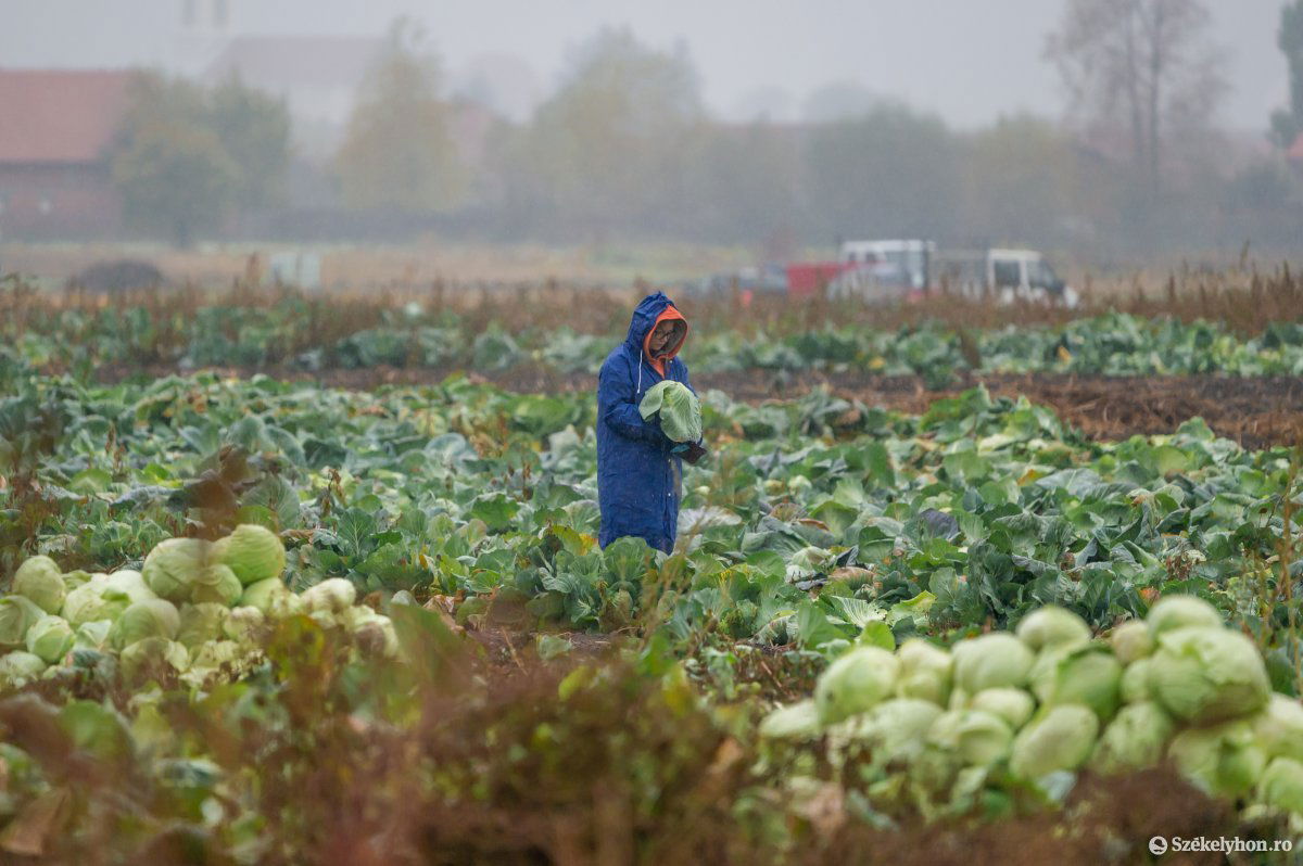 &bullet;  Fotó: Pinti Attila