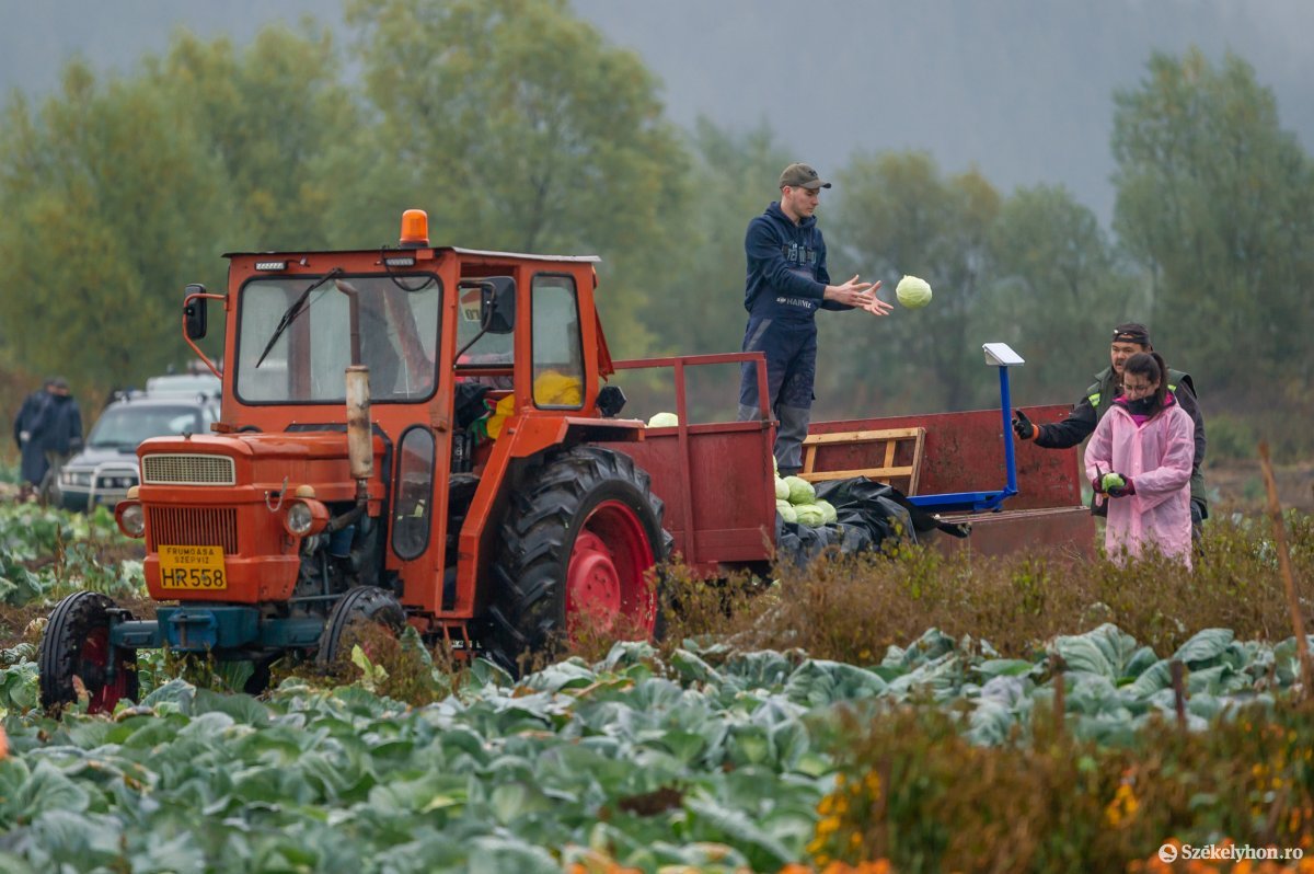 &bullet;  Fotó: Pinti Attila