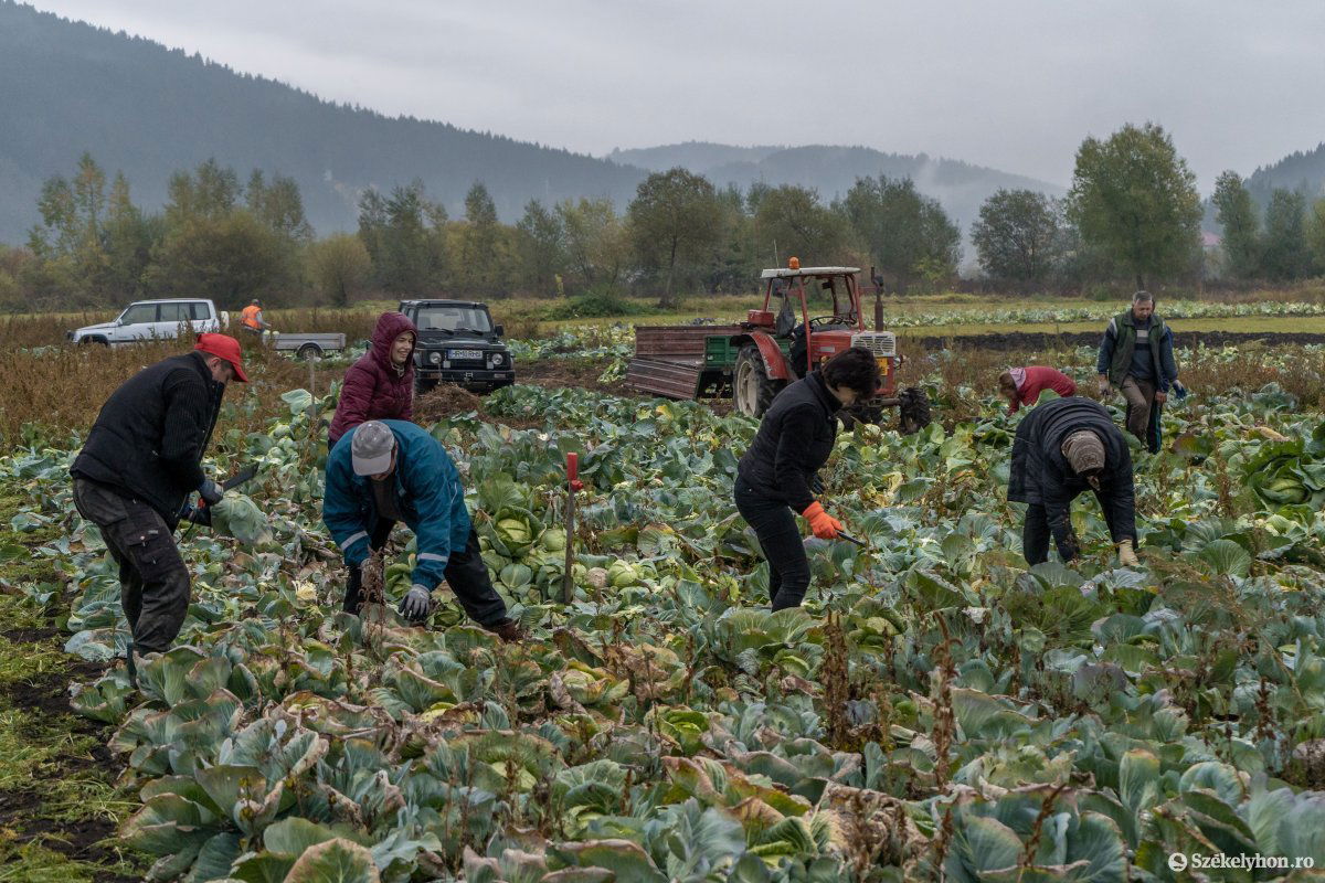 &bullet;  Fotó: Pinti Attila