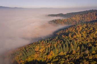 Felmelegedés következik, ám csapadékra is számítani kell az előttünk álló két hétben