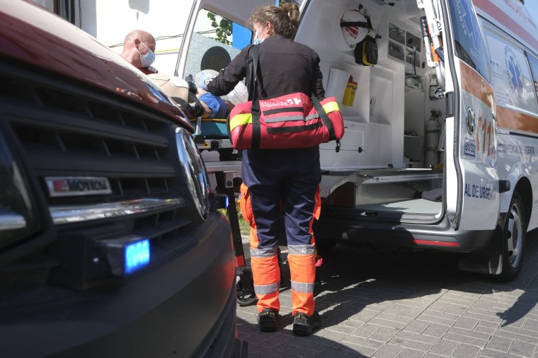 Arcán is harapásnyom: súlyosan megsebesített a medve egy juhászt Hunyad megyében
