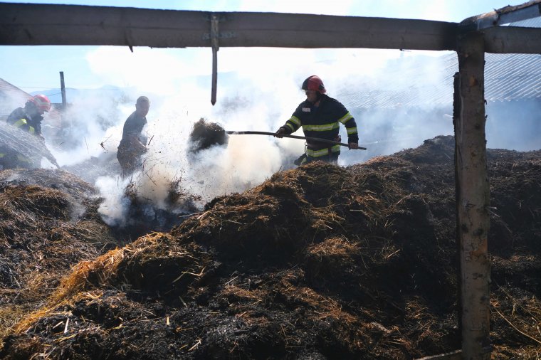 Juhok, malacok, tyúkok vesztek oda a tűzben Csíkszentkirályon
