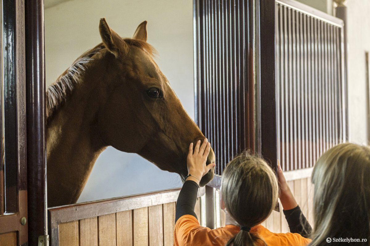 &bullet;  Fotó: Veres Nándor
