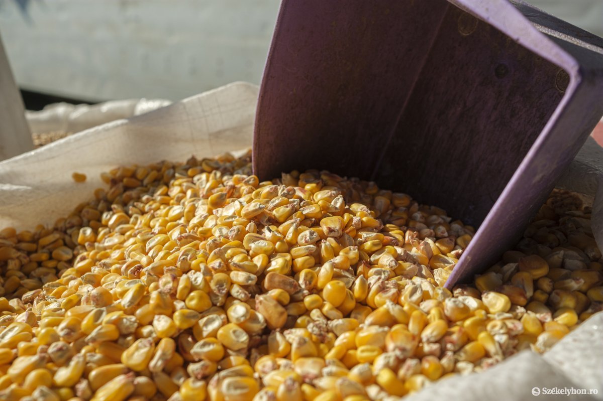 &bullet;  Fotó: Veres Nándor