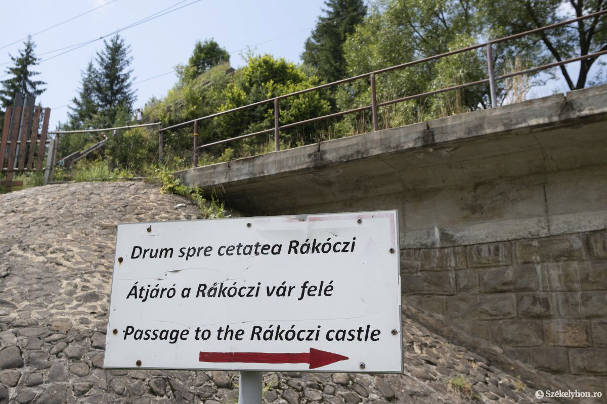 •  Fotó: Veres Nándor