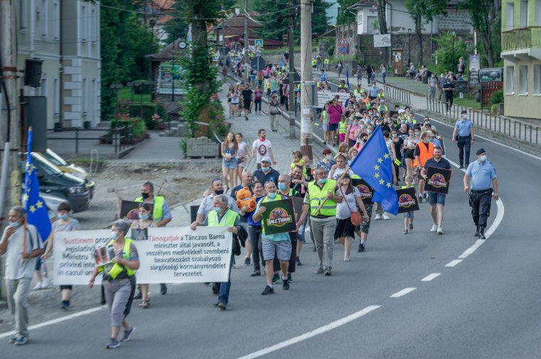 Kivágják a tusnádfürdői gyümölcsfákat, hogy ne legyen mit majszolni a medvéknek