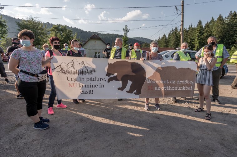 Még mindig per tárgya a három évvel ezelőtti medvetámadás után kifizetendő kártérítés