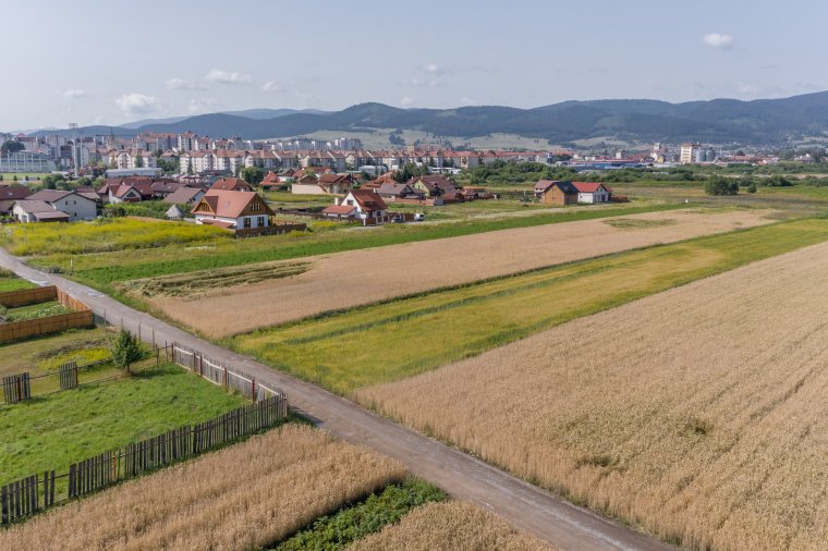 A tiltakozás nyomán más rendezési terv készült Csíkszeredában