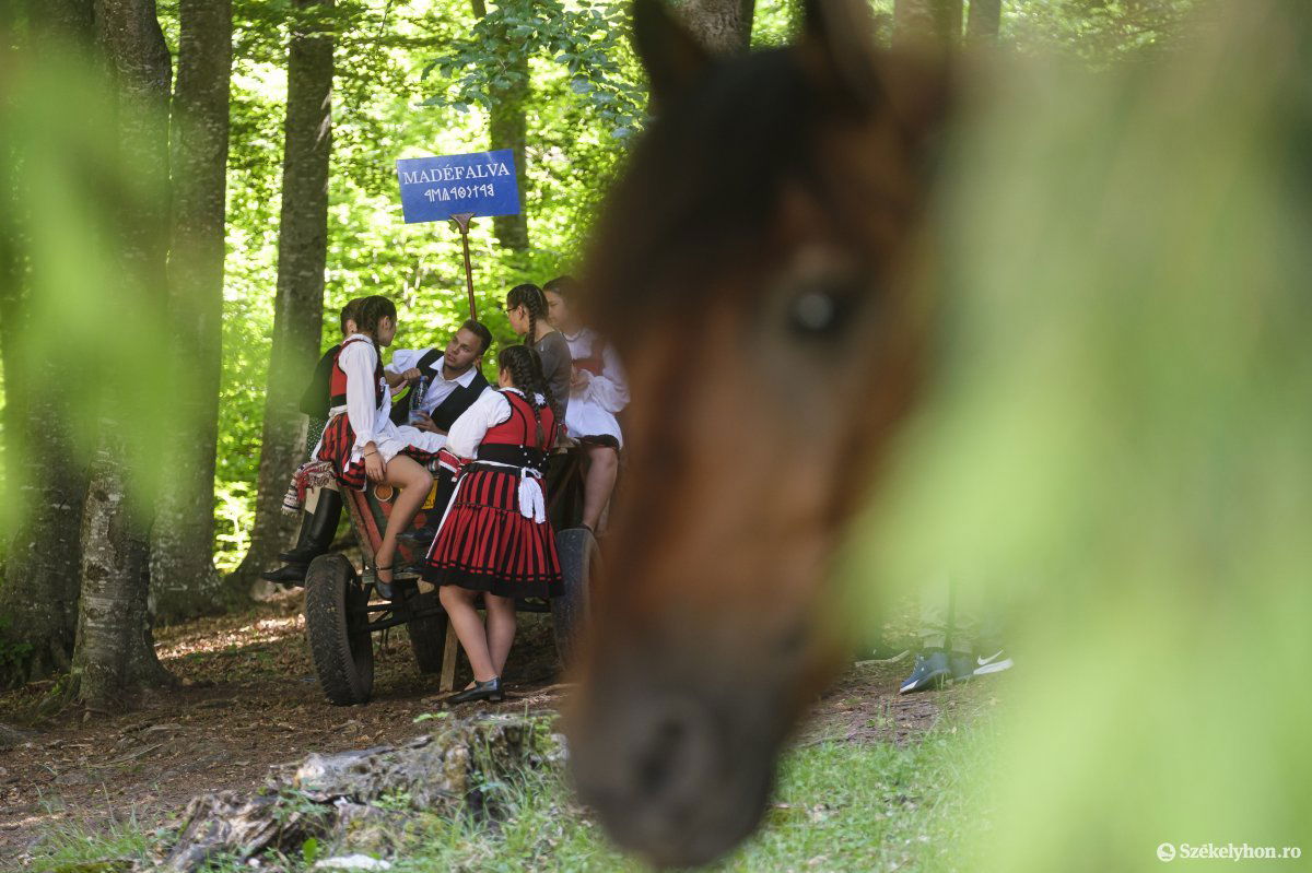 &bullet;  Fotó: Veres Nándor