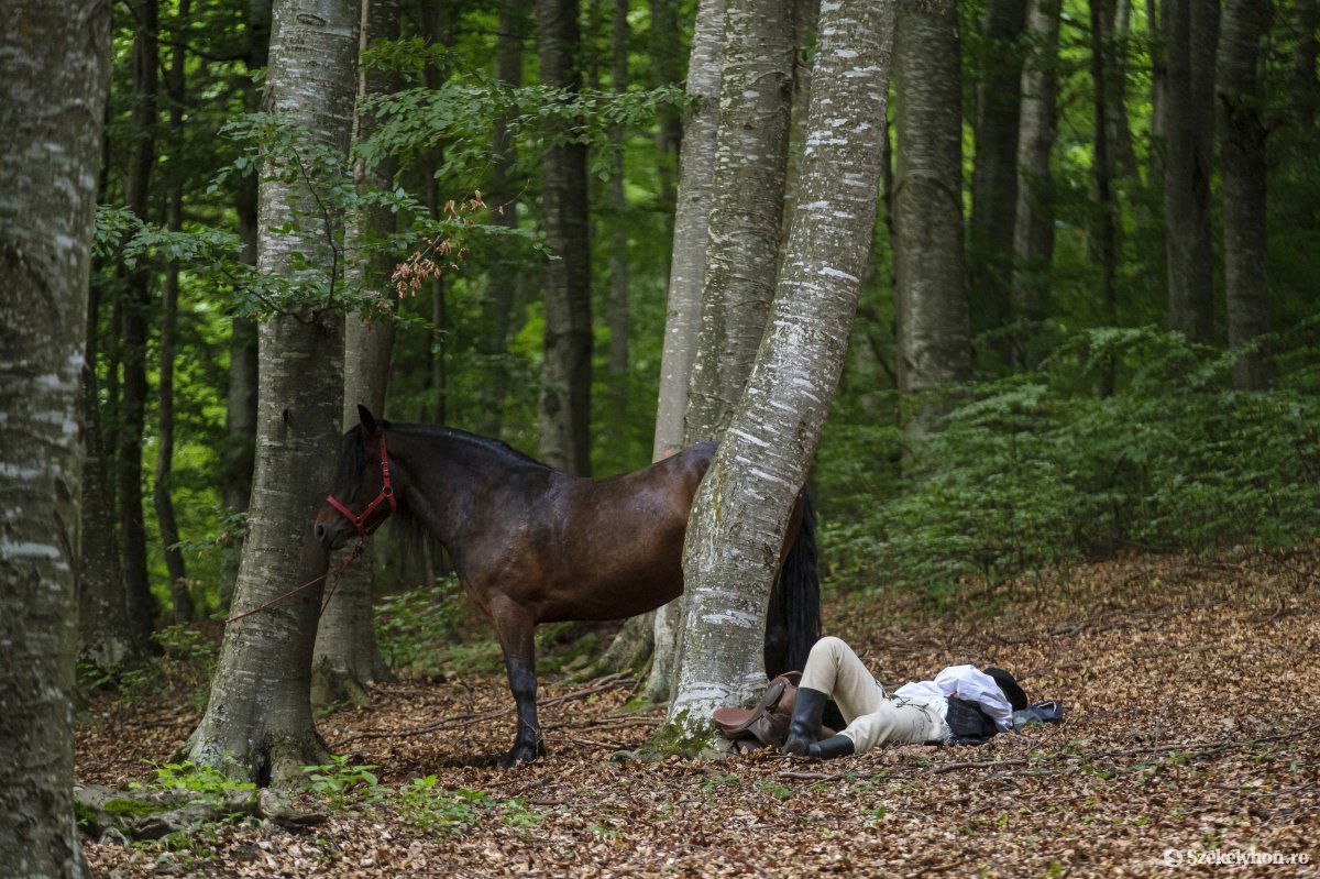 &bullet;  Fotó: Veres Nándor