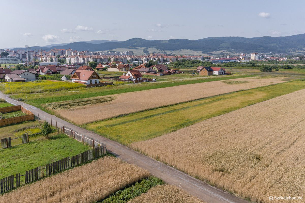 Az érintett területen nem akartak társasházakat a már ott lakók. Archív •  Fotó: Pinti Attila