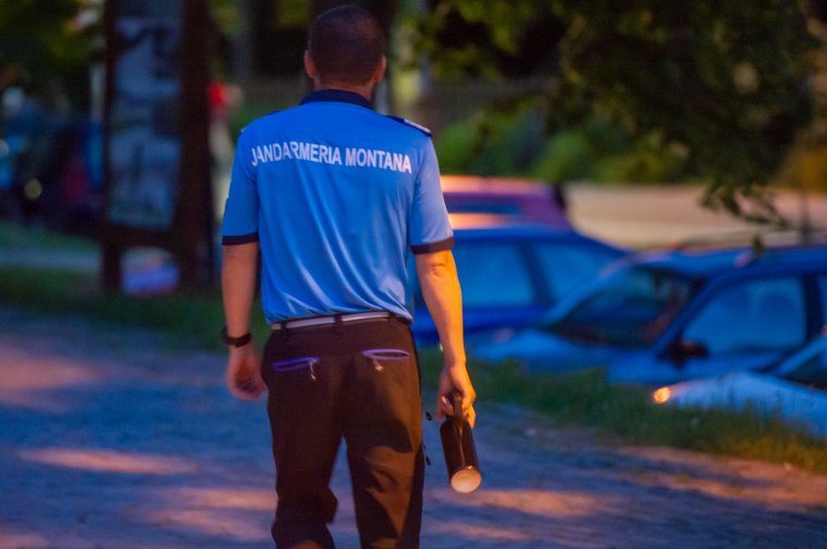 Szinte mindig csak medvére figyelmeztet a Ro-Alert rendszer Háromszéken