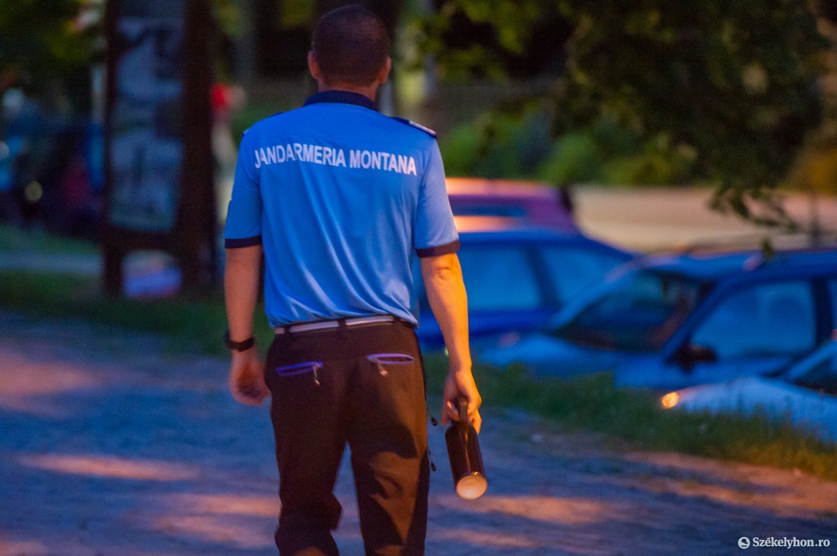 Este tíz óráig a helyi csendőrség felvigyázza a közbiztonságot, késő este viszont már a medvéké a város. A 112-es segélyhívószám értesítésére csak egyórás késéssel, Csíkszeredából érkezik a segítség. •  Fotó: Beliczay László