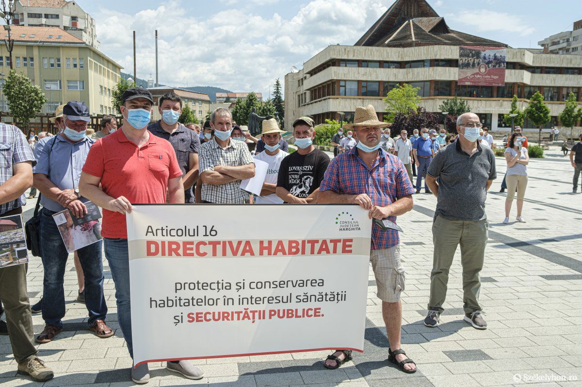 •  Fotó: Veres Nándor