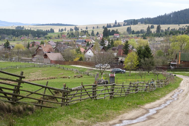 Medve jelenlétére figyelmeztetnek Szécsenyben