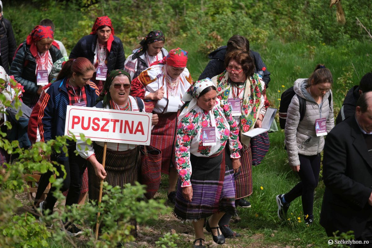 •  Fotó: Veres Nándor