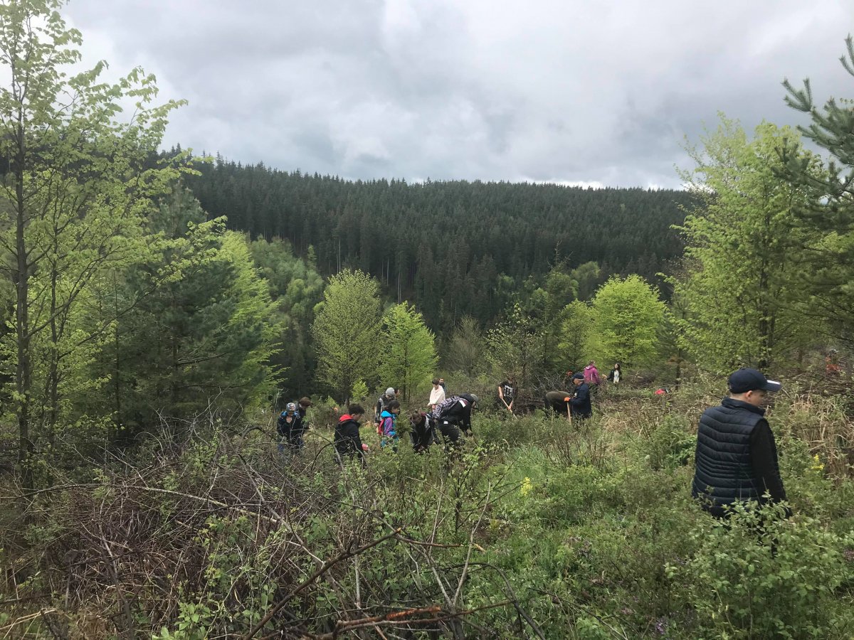•Forrás: Lions Club Háromszék 